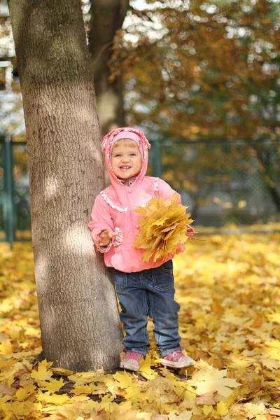 Niña en el parque de otoño — Foto de Stock