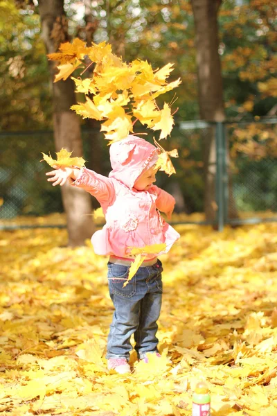 Sonbahar yaprakları ile küçük kız — Stok fotoğraf