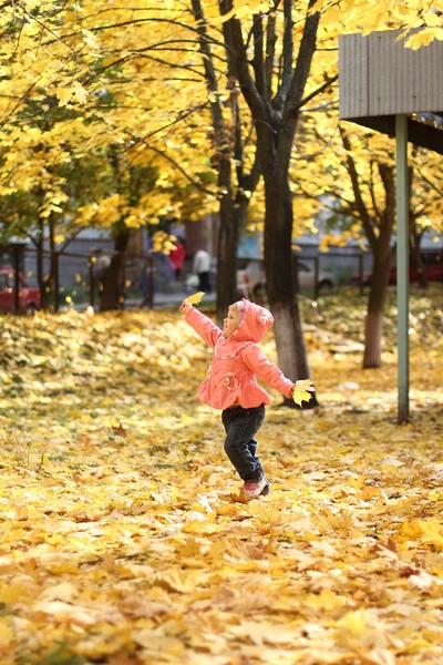 Bambina con foglie autunnali — Foto Stock