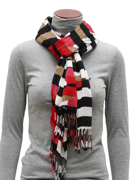 Motley scarf with fringe — Stock Photo, Image
