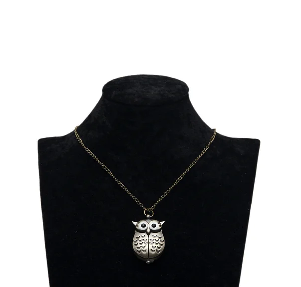 Owl Necklace — Stock Photo, Image