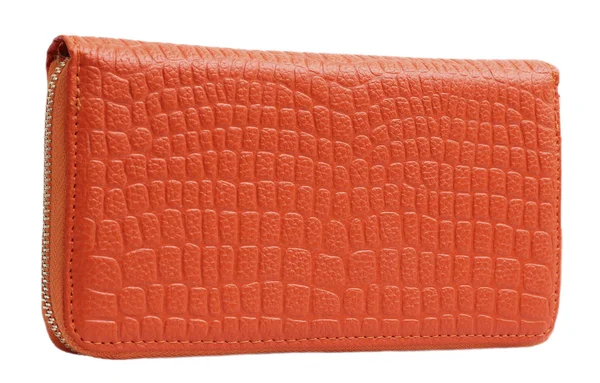 Terracotta woman wallet — Stock Photo, Image