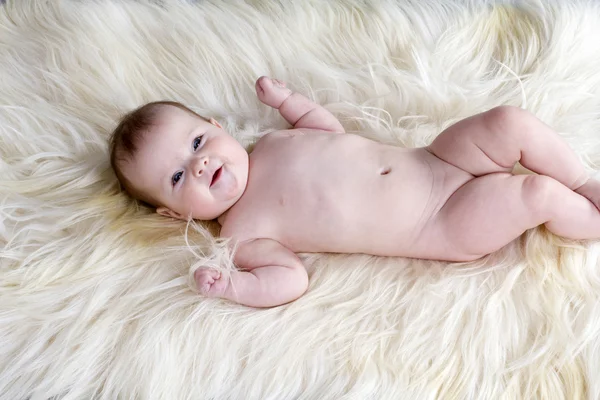 Il bambino giace sulla pelle delle capre — Foto Stock