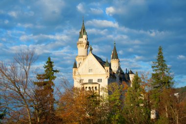 Neuschwanstein Şatosu, ağaçlar