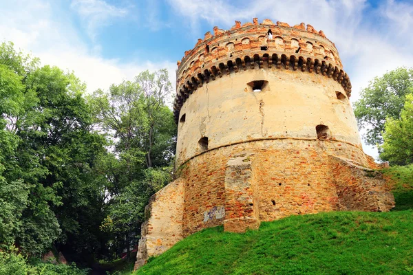 Ostrog içinde kule — Stok fotoğraf