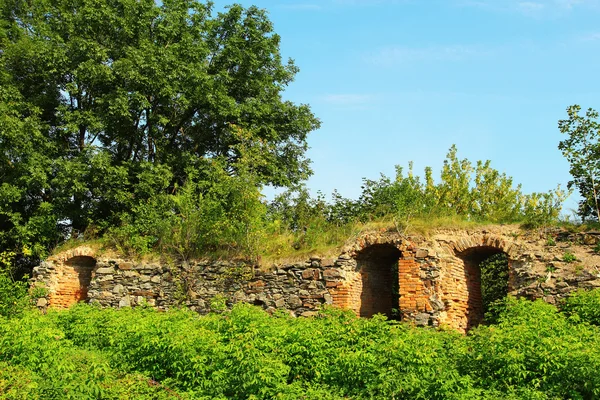 Muur van het kasteel in korets — Stockfoto