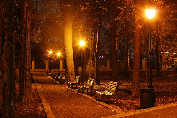 Noche en el parque — Foto de Stock