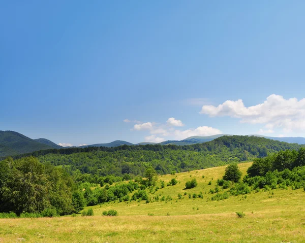 Карпатский пейзаж — стоковое фото