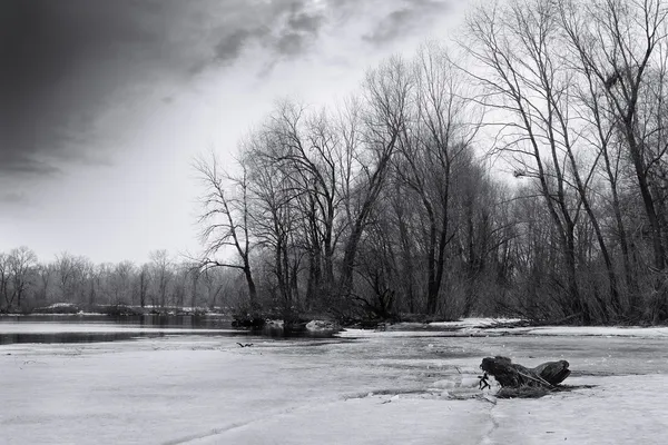 Black and white landscape — Stock Photo, Image