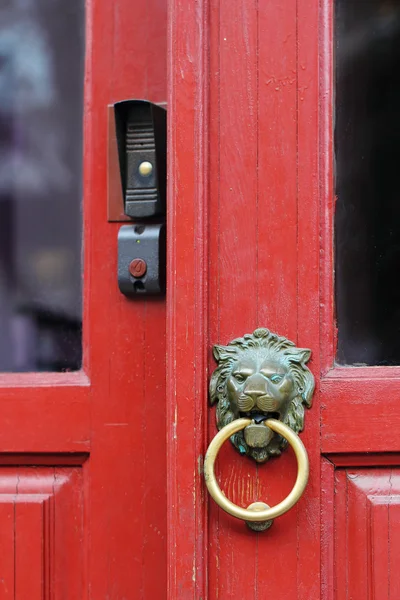 Lion doorknob — Stock Photo, Image