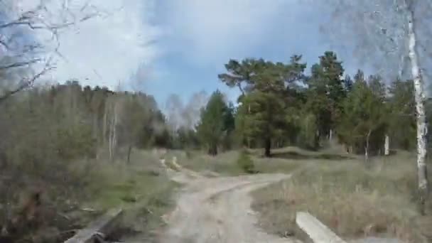 La route vers la belle forêt de conifères, timelapse .