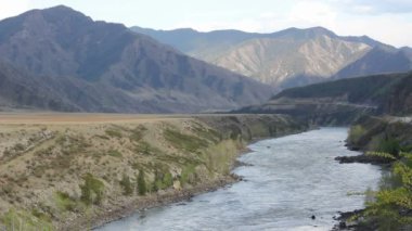 dağ nehir orman, Altay, Rusya Federasyonu