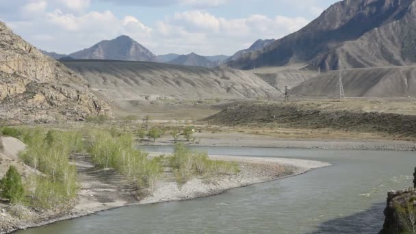 Berg flod i skog, altai, Ryssland — Stockvideo