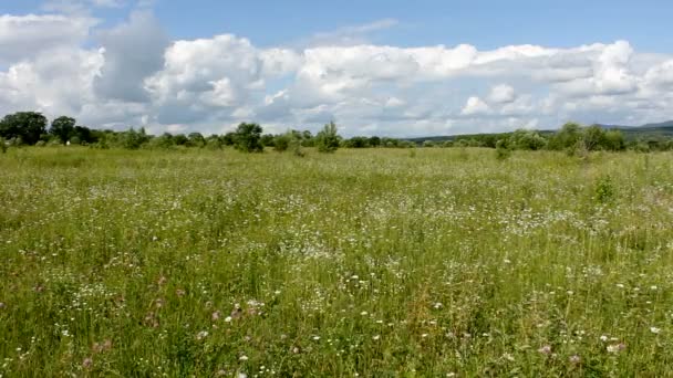 Landschap, blauwe hemel met wolken — Stockvideo