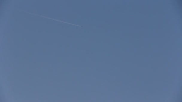 Jet stream di aeroplano che va in cielo blu — Video Stock