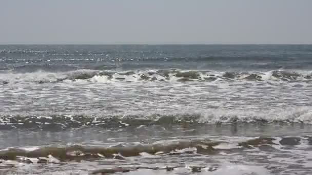 太平洋のビーチの波 — ストック動画
