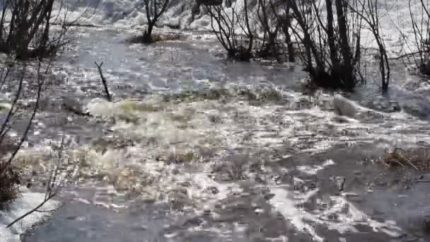 Våren snö smältning på floden i mars — Stockvideo