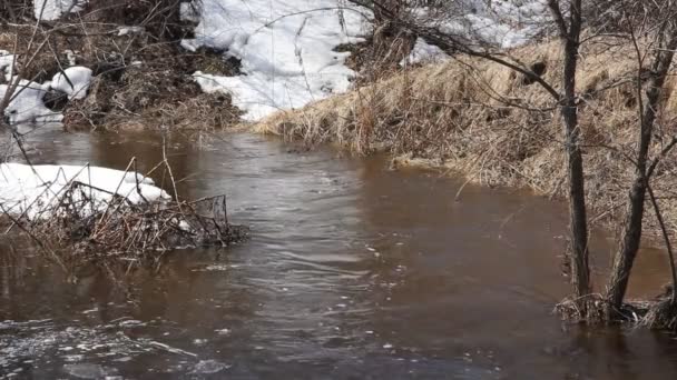 Χιόνι άνοιξη, τήξη στον ποταμό, το Μάρτιο — Αρχείο Βίντεο