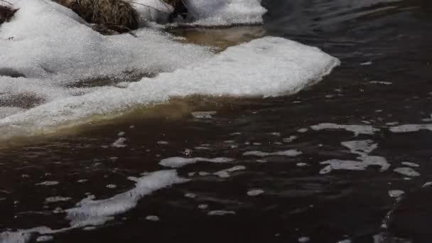 Lente sneeuw smelten op de rivier, in maart — Stockvideo