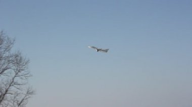 havai yakın askeri Jet uçak uçar.