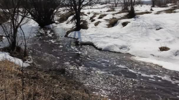 Spring snow melting on the river, in March — Stock Video