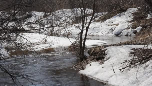 Весняний сніг тане на річці, в березні — стокове відео
