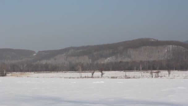 Berglandschap in de winter. — Stockvideo