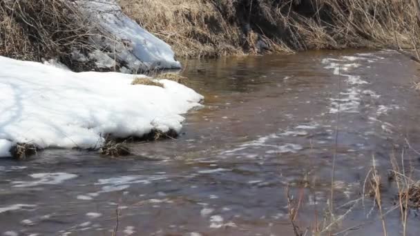 Våren snö smältning på floden i mars — Stockvideo