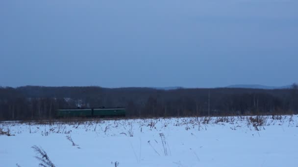 Tren de pasajeros en el ferrocarril — Vídeos de Stock