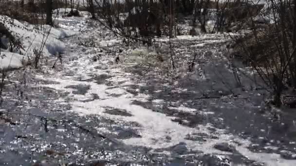 Våren snö smältning på floden i mars — Stockvideo