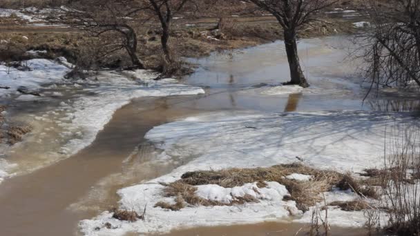 Lente sneeuw smelten op de rivier, in maart — Stockvideo