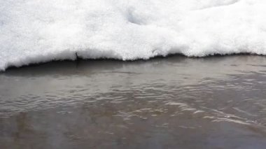 Mart ayında Nehri üzerinde erime bahar kar