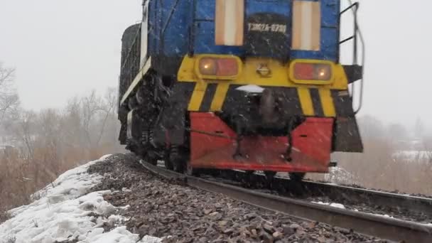 Passagierstrein op het spoor — Stockvideo