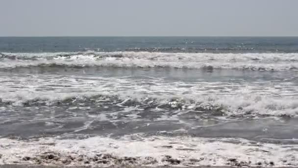 As ondas da praia no Oceano Pacífico — Vídeo de Stock