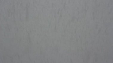 Kış ormanda kar günü.