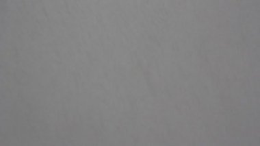 Kış ormanda kar günü.