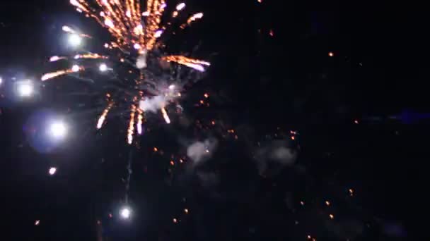 휴가 대 한 하늘에 밤 불꽃놀이. — 비디오