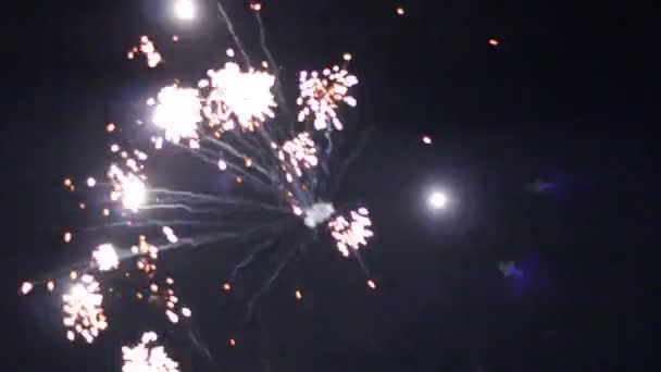 Feux d'artifice nocturnes dans le ciel pour des vacances .