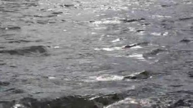 Turkuaz deniz su dalgaları ve taşlar