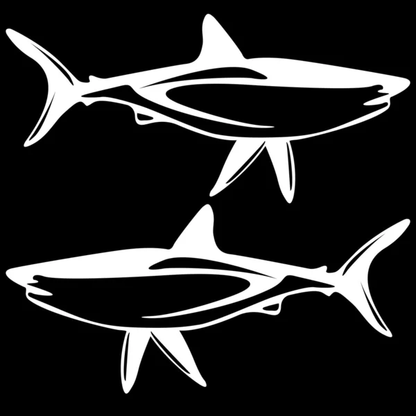 Shark, black and white outline. — Stock Photo, Image