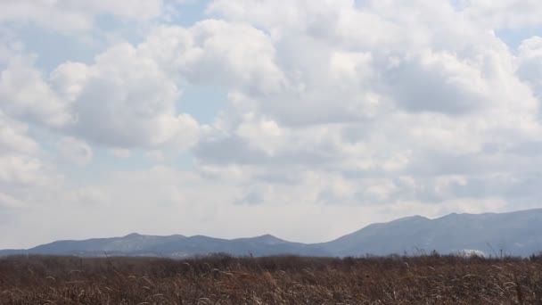 Landscape, blue sky with clouds timelapse — Stock Video
