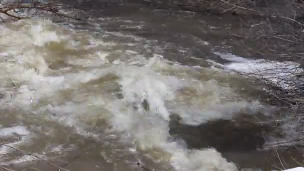 Lente sneeuw smelten op de rivier, in april — Stockvideo