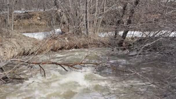 La fonte des neiges printanières sur la rivière, en avril — Video