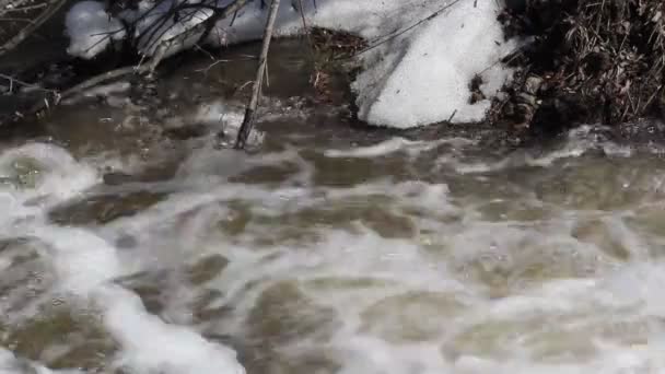 Jarní sníh tající na řece, v dubnu — ストック動画