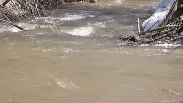 Primavera neve derretendo no rio, em abril — Vídeo de Stock