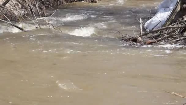 Primavera nieve derritiéndose en el río, en abril — Vídeos de Stock