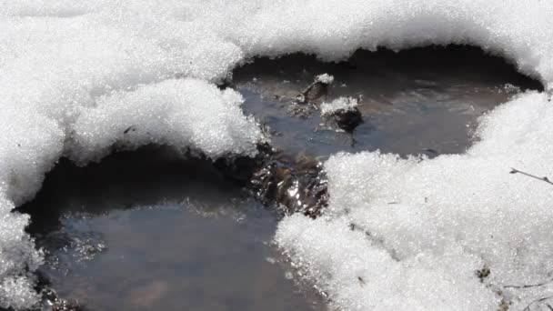 Lente sneeuw smelten op de rivier, in april — Stockvideo