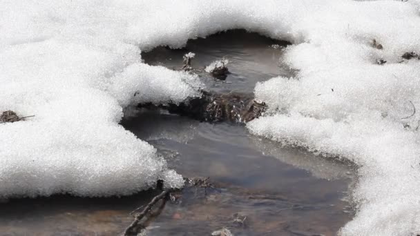 Våren snö smälter vid floden, i april — Stockvideo