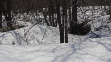Nehrin üzerinde Nisan ayında erime bahar kar