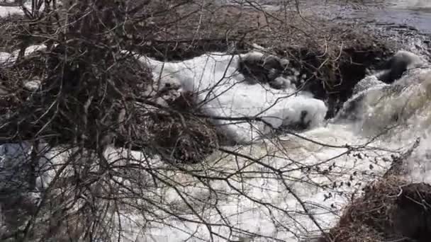 Primavera nieve derritiéndose en el río, en abril — Vídeos de Stock